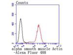 Alpha-Smooth Muscle Actin Antibody in Flow Cytometry (Flow)