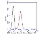 VPS34 Antibody in Flow Cytometry (Flow)