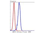 AKT1 Antibody in Flow Cytometry (Flow)