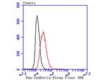 Pan-cadherin Antibody in Flow Cytometry (Flow)