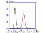 SHH Antibody in Flow Cytometry (Flow)