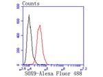 SOX9 Antibody in Flow Cytometry (Flow)