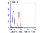 CCR2 Antibody in Flow Cytometry (Flow)