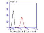 FASN Antibody in Flow Cytometry (Flow)