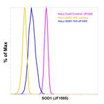 SOD1 Antibody