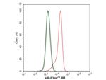 p38 MAPK Antibody in Flow Cytometry (Flow)