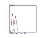 TAK1 Antibody in Flow Cytometry (Flow)