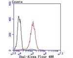 IBA1 Antibody in Flow Cytometry (Flow)