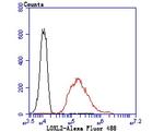 LOXL2 Antibody in Flow Cytometry (Flow)