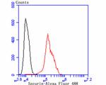 Securin Antibody in Flow Cytometry (Flow)