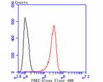 PAK2 Antibody in Flow Cytometry (Flow)