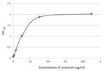 C-Peptide Antibody in ELISA (ELISA)