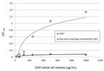 Zika Virus Envelope Protein Antibody in ELISA (ELISA)