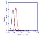 Cytokeratin 5/6 Antibody in Flow Cytometry (Flow)