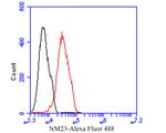 NME1 Antibody in Flow Cytometry (Flow)