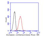 Glutamine Synthetase Antibody in Flow Cytometry (Flow)