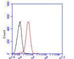 CD55 Antibody in Flow Cytometry (Flow)