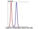 ALPL Antibody in Flow Cytometry (Flow)