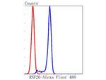 RNF20 Antibody in Flow Cytometry (Flow)