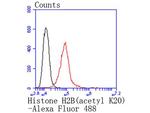 H2BK20ac Antibody in Flow Cytometry (Flow)