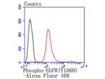 Phospho-EGFR (Tyr1068) Antibody in Flow Cytometry (Flow)