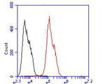 ICAD Antibody in Flow Cytometry (Flow)