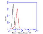 Themis Antibody in Flow Cytometry (Flow)