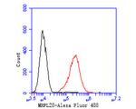 MRPL28 Antibody in Flow Cytometry (Flow)