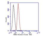 FEN1 Antibody in Flow Cytometry (Flow)