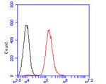 AGTR1 Antibody in Flow Cytometry (Flow)