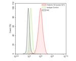 H3K27ac Antibody in Flow Cytometry (Flow)