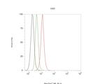 CLIC2 Antibody in Flow Cytometry (Flow)