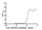 DLL3 Antibody in ELISA (ELISA)