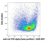 TCR alpha/beta Antibody in Flow Cytometry (Flow)