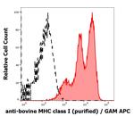 MHC Class I Antibody in Flow Cytometry (Flow)