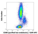 CD86 Antibody in Flow Cytometry (Flow)