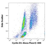 Cyclin D1 Antibody in Flow Cytometry (Flow)