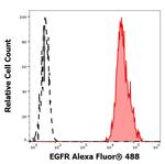 EGFR Antibody in Flow Cytometry (Flow)