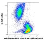 MHC Class I Antibody in Flow Cytometry (Flow)