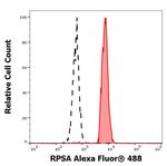 RPSA Antibody in Flow Cytometry (Flow)