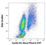 Cyclin D1 Antibody in Flow Cytometry (Flow)