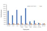 NSD1 Antibody in ChIP Assay (ChIP)