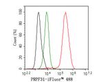 PRPF31 Antibody in Flow Cytometry (Flow)