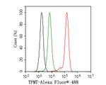 TPMT Antibody in Flow Cytometry (Flow)