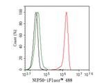 NUP50 Antibody in Flow Cytometry (Flow)