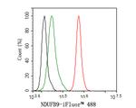 NDUFB9 Antibody in Flow Cytometry (Flow)