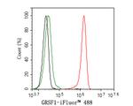 GRSF1 Antibody in Flow Cytometry (Flow)