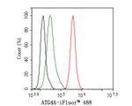 ATG4A Antibody in Flow Cytometry (Flow)