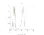 ENPP5 Antibody in Flow Cytometry (Flow)