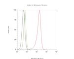 alpha-1a Adrenergic Receptor Antibody in Flow Cytometry (Flow)